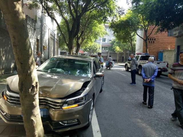 苦练两年考取小车驾照 两个月后司机驾车不慎撞树