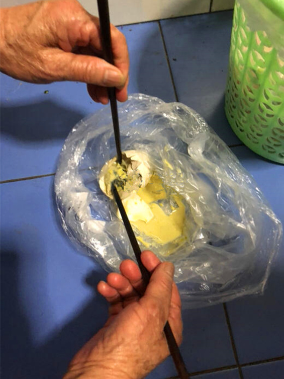 超市买的鹅蛋里面全是黑色羽毛和胚胎