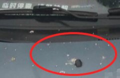 住户高空倾倒剩饭剩菜 停在楼下的车辆遭了殃