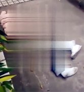 15岁花季少女坠楼 身体扭曲俯面倒地