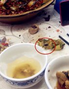 食客餐馆吃饭边看电视剧 突然吃出小蟑螂
