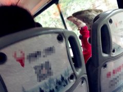 女童脚踢公交车窗玻璃嘣嘣响 家长一旁坐视不管
