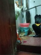 餐馆女工蹲在厕所里洗鸭肠 被送餐小哥拍下