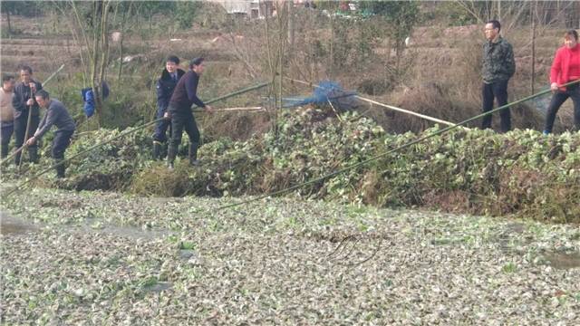 300多松溉人突然涌向河边  他们在捞什么？