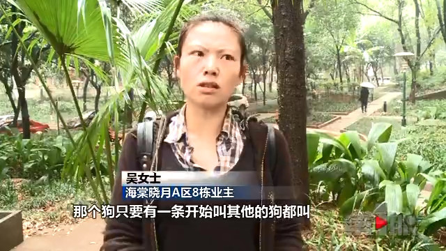 八狗齐吠！这家的宠物太扰民