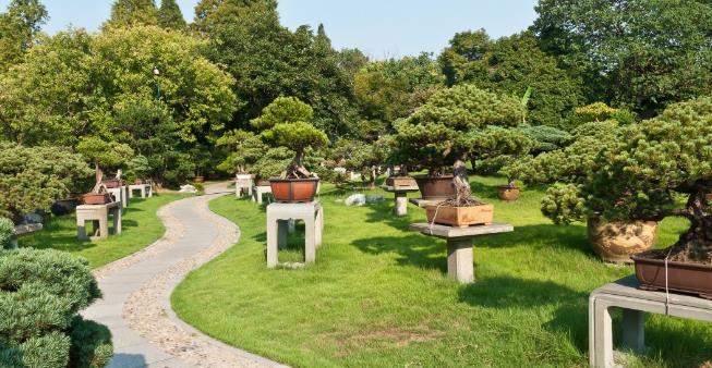 重庆最美公园名单出炉！春光正好了解一下