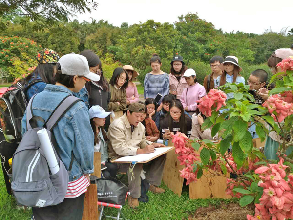定点写生15年  他把西双版纳变成现场教学点