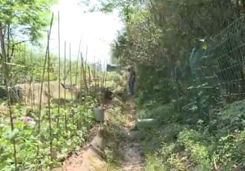 为了种菜 连高速公路护网都没能幸免