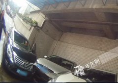 女司机下车取停车卡忘拉手刹 连“吻”三车还伤了娃