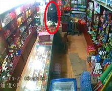 出狱后一起再犯案 三兄弟“相约”二进宫