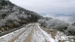 重庆奉节飘雪 惊现雾凇奇观