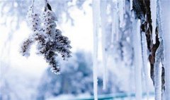 重庆雨天路滑致汽车侧翻 明日转晴有大雾