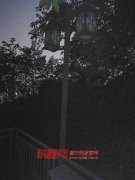 这段路灯不亮 黑黢黢没人敢走