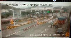 司机看错信号灯 倒车闹“乌龙”