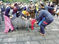 年猪节“每周一锅”锅锅宴 你的味蕾受得了吗