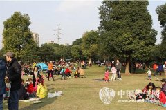 今晨重庆大雾来袭 多条高速交通管制