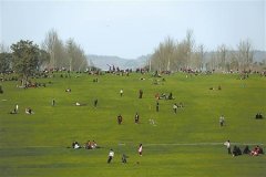 直把初冬当初春 10万人带着阳光游中央公园