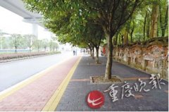 大学城部分道路提档升级