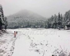 涪陵：武陵山迎来入冬最大降雪 足足有5厘米的积雪