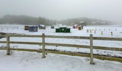 赏武隆仙女山冬季奇妙景观 红叶相伴冰雪更美