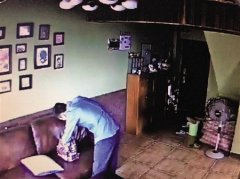 笨贼上次在业主家睡着被捉 这次慌不择路又一头撞墙上