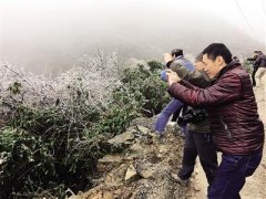 今明两天天气晴好 部分地区气温升至18℃