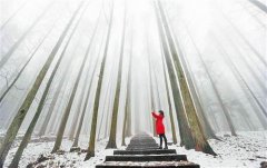 重庆多个景区再迎降雪