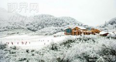 金佛山雪后美景醉人 积雪最深处达20厘米