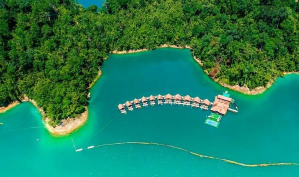 1481169308973650.jpg 1481169308973650.jpg