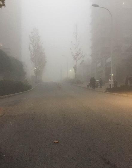 1481187558678213.jpg 天气01.jpg