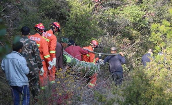 1481170596478987.jpeg WechatIMG5.jpeg