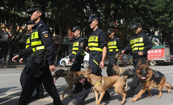 1481425980568978.jpg CJY_6234.jpg