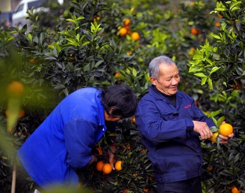 1481508348745817.jpg 6.jpg