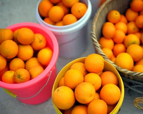 1481508367851479.jpg 8.jpg