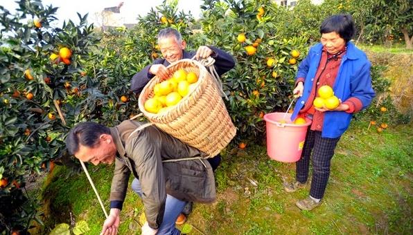 1481508377371254.jpg 9.jpg