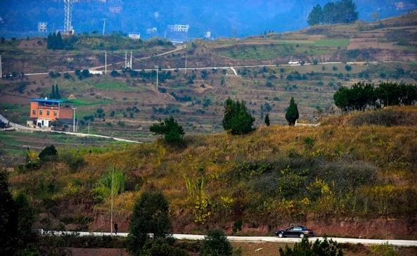 1481508408649115.jpg 12.jpg