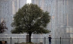 明后天仍有阴雨 气温波动不大