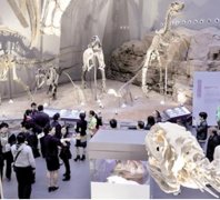 重庆自然博物馆将成为4A级旅游景区