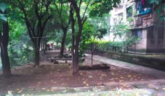 402条背街小巷、306个老旧小区 两年整治大变样