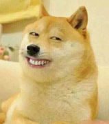 狂虐单身狗 情人节吐槽集锦