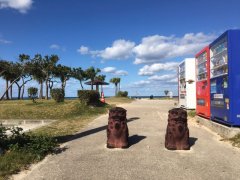 好队友一辈子 当代力帆球员情人节结伴出游