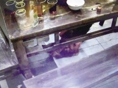 点了一只鸡 吃出10个鸡爪子