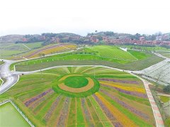 兴隆花海周六开园迎客 全年都有鲜花观赏哦！