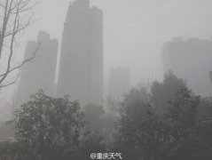气象台发布“大雾黄色预警” 部分高速因雾管制