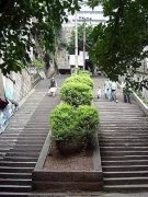 重庆主城十大石梯  全部爬过算你赢