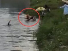 三少女戏水掉江中被一猛男救起