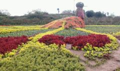 春季出行、赏花路线、避免拥堵、请收下这份攻略