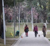 重庆天气今起变脸 最低5℃