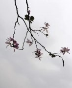 想有好天气要等到下周四