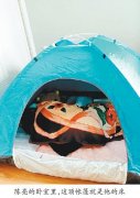 重庆25岁小伙卧室里扎帐篷  曾吓跑相亲对象